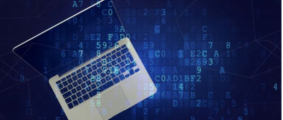 2023年，入行互联网网络技术开发依然可行吗？