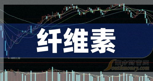 2024年8月2日 聚焦纤维素网络技术开发的概念公司名单