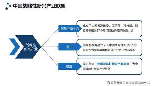 物联网技术应用的专业分类与网络技术开发的关系